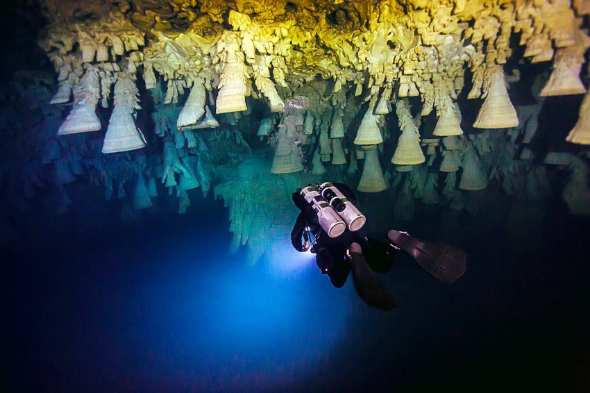Sgorbani u neverovatnoj avanturi