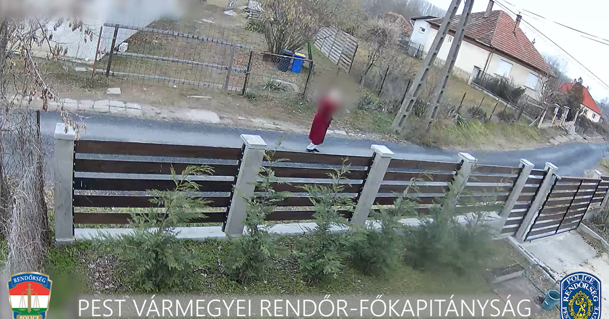 Köntösben lövöldözött az utca közepén macskákra egy idős férfi Sülysápon – videó