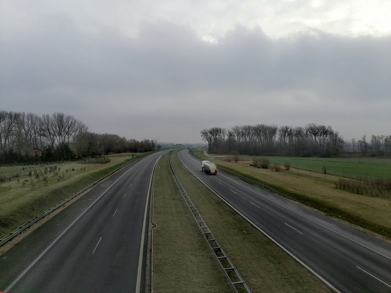 Autostrada A1. Miejsce zderzenia z łosiem w miejscowości Sójki