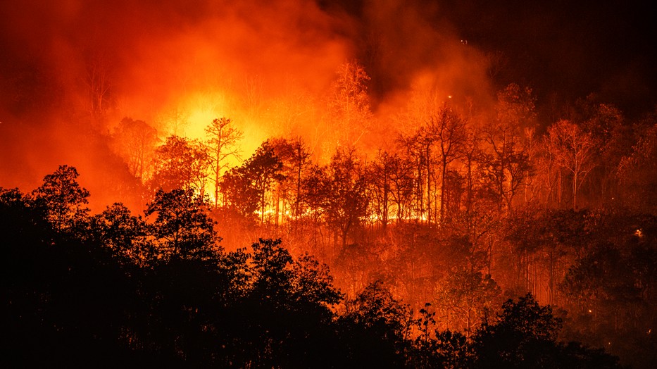 Fotó: Getty Images