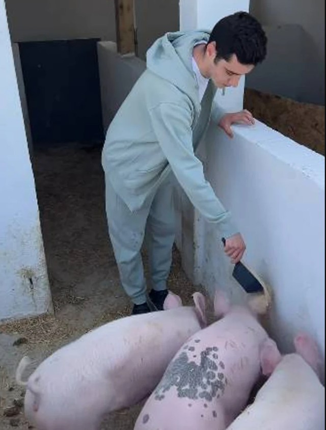 Sestrić Branka Babića