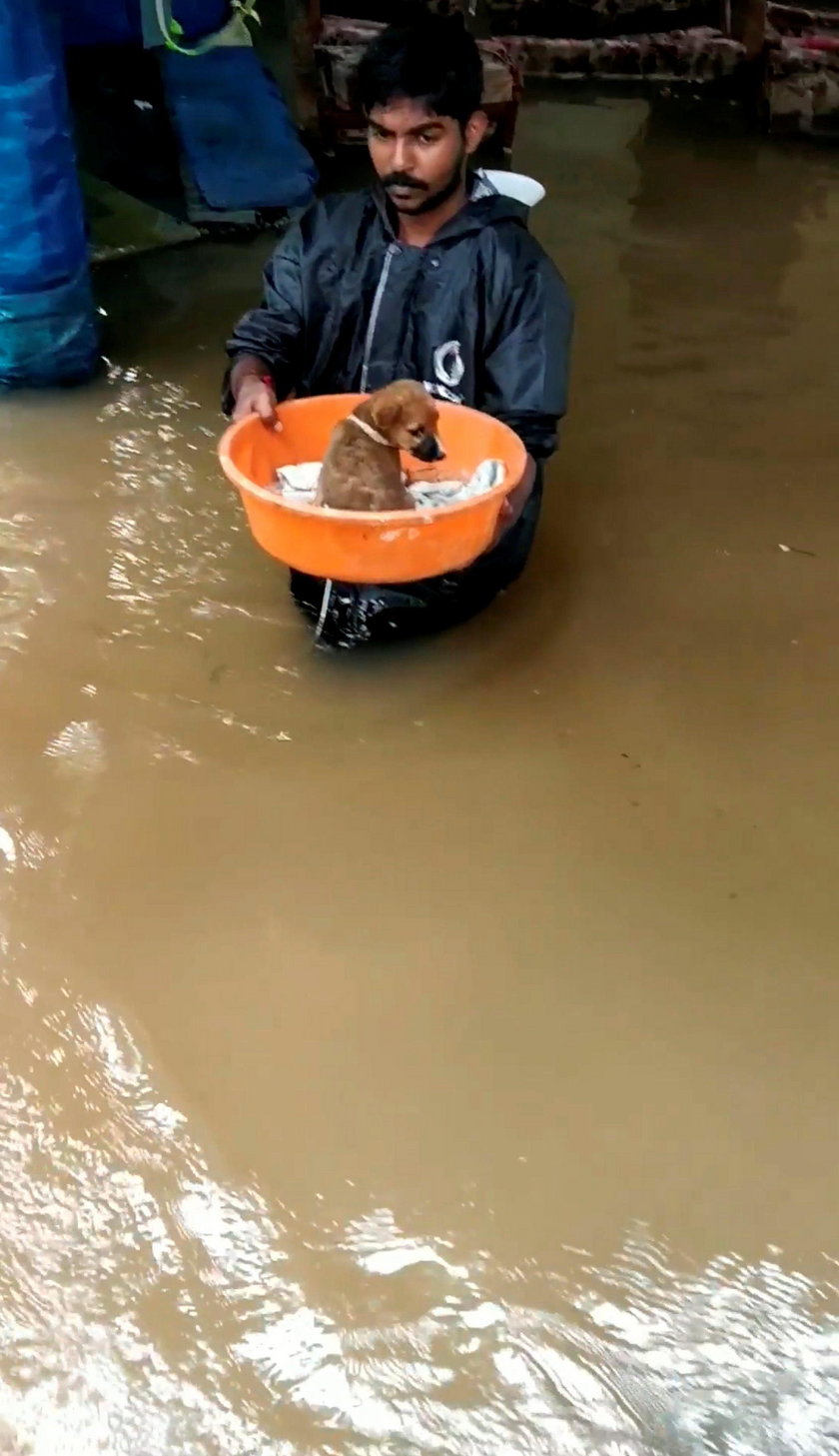 Powódź w Kerala