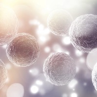 Ezek a vegyültek daganatos, autoimmun és fibrotikus betegségeket, gyulladásokat képesek blokkolni