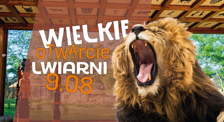 Zoo zaprasza w piątek na wielkie otwarcie lwiarni