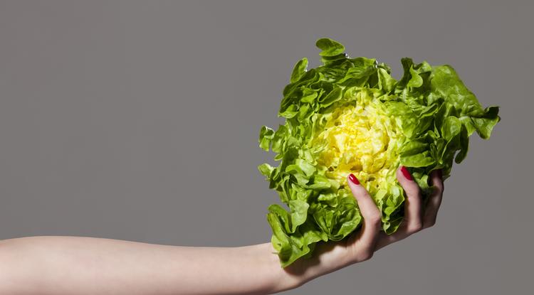 Csodatevő saláta Fotó: Getty Images