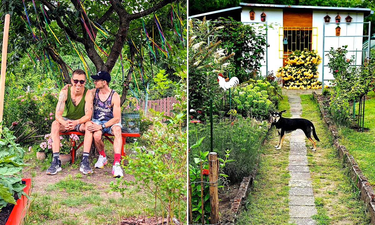 Kupił działkę ROD. "Nie wszyscy przyjęli mnie z otwartością"