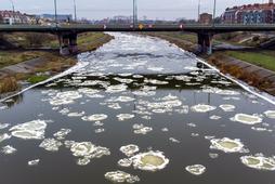 Śryż zwany inaczej lodem prądowym na rzece Warcie w Poznaniu
