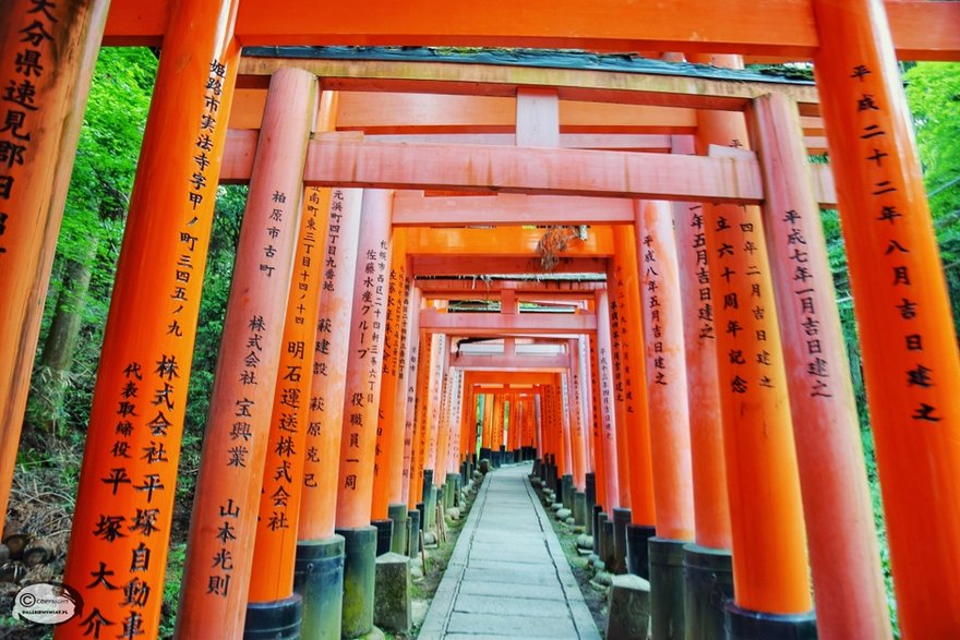 Fushimi Inari