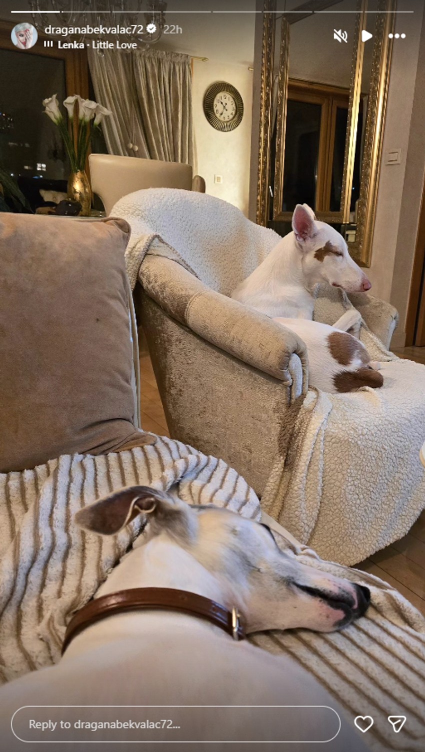 Dragana Bekvalac, objava