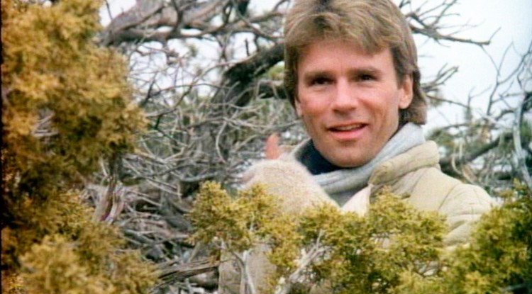 Richard Dean Anderson, a MacGyver sztárja 74 éves lett Fotó: Getty Images