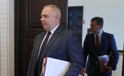 Rząd wycofa się z zakazu handlu? Sasin: Analizujemy tę kwestię