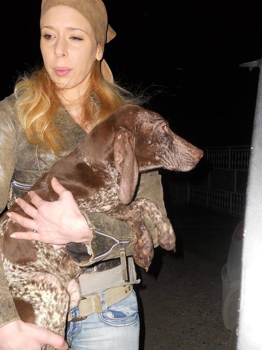 Bojana Kostka nosi ženku, koju je privremeno uzela kod sebe dok se ne oporavi