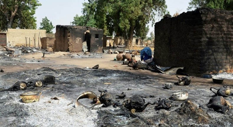 Burnt livestock and litter left behind after an attack by Boko Haram on the mainly Shuwa Arab village of Mairi in northeast Borno state, epicentre of its bloody eight-year insurgency