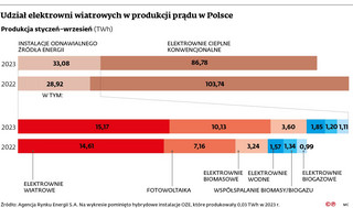 Udział elektrowni wiatrowych w produkcji prądu w Polsce