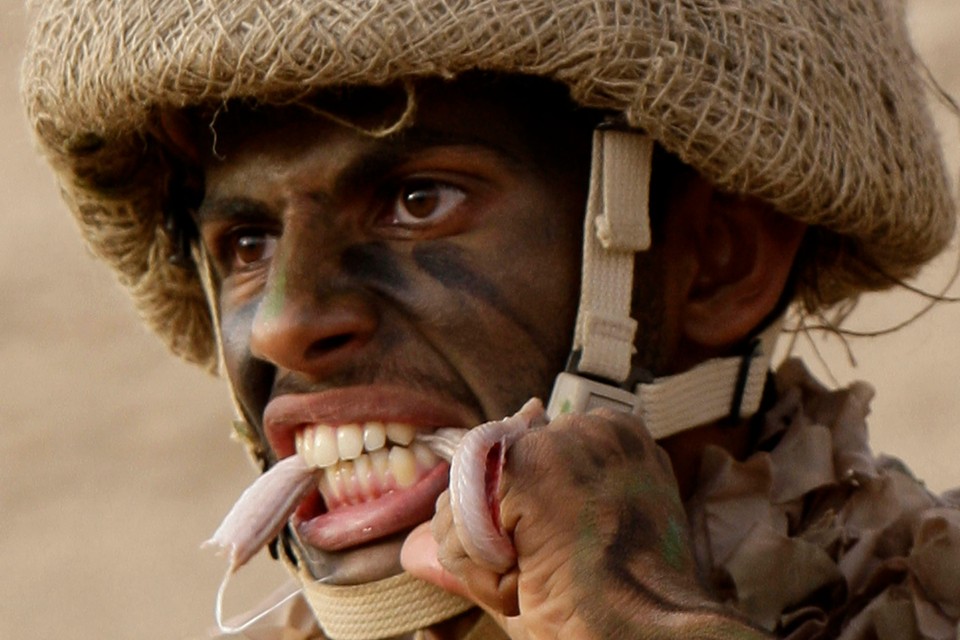 A graduating soldier from the Saudi special forces eats a snake during a demonstration of his survival training in Riyadh June 9, 2010.