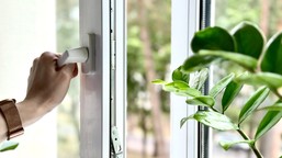 dodaj to do wody i umyj okna. będą błyszczeć bez smug