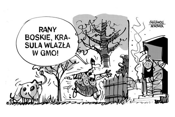 Wlazla w GMO krzętowski