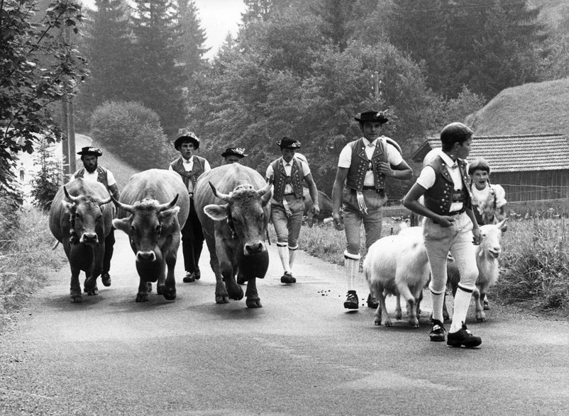 Alpejscy pasterze w Toggenburg, 1955 r. Szwajcaria.