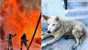 "Kiša nafte" u ruskom gradu Tuapseu