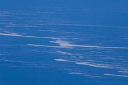 Najdziwniejsza "wyspa" świata. Wielka jak Belgia i ... pływająca