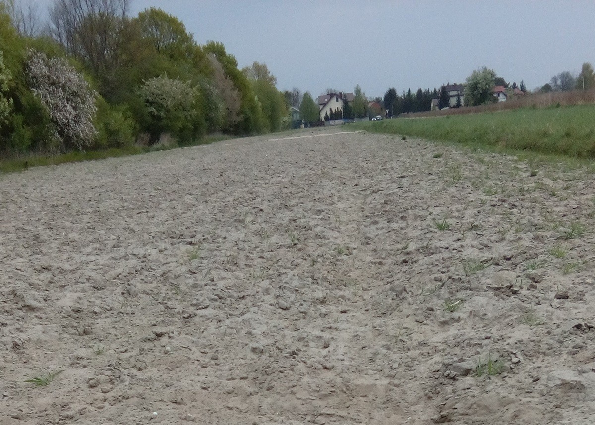 Z tytułu zapłaty za służebności gruntowe na gruntach Skarbu Państwa miasto może potrącić 5 proc.