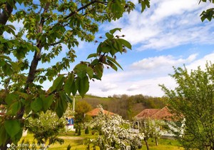 Selo Venčane kod Aranđelovca - Vrt za decu i odrasle sa autizmom