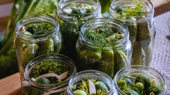 Babcina zasada 3 razy 3 – sekretny przepis na chrupiące i aromatyczne ogórki kiszone