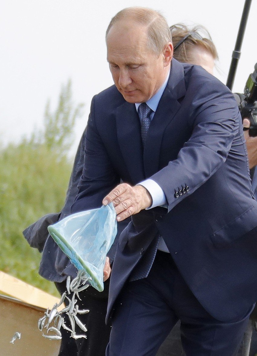 Ruski predsednik Vladimir Putin ispušta mlađ omula u Bajkalsko jezero tokom posete u avgustu