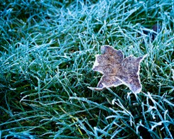 To będzie zimna noc. IMGW ostrzega przed przymrozkami