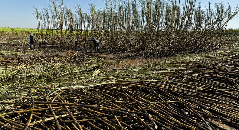 Amuru sugar factory reveals state-of-the-art reforms to curb fire attacks, climate change/Courtesy