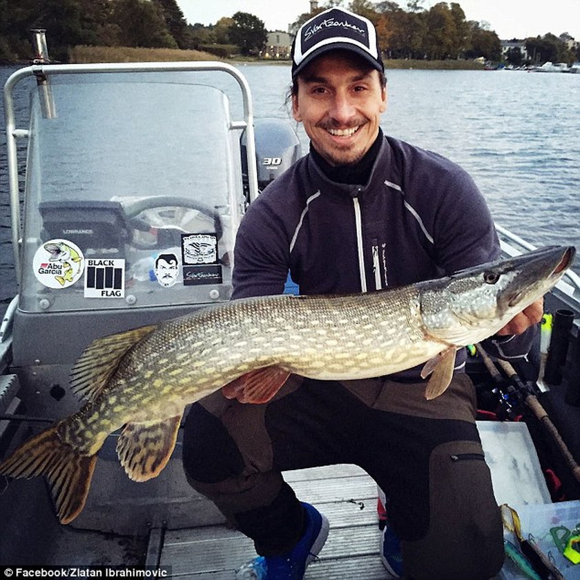 Zlatan Ibrahimović złapał niezłą rybkę!