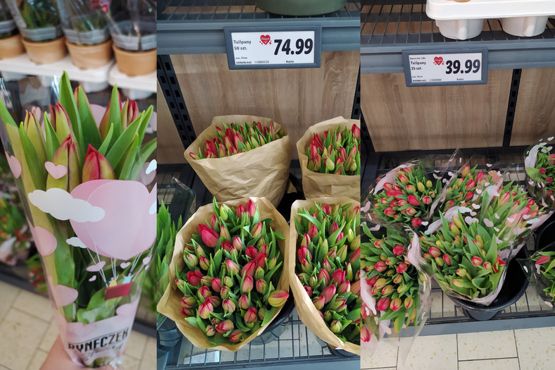 Tulipany w Lidlu