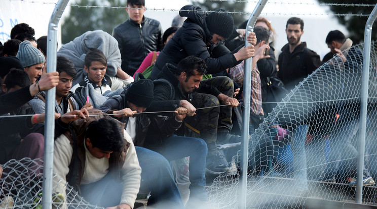 Pillanatkép a Balkánról. A kerítés sem akadály a migránsoknak Fotó: MTI