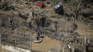 Tygrys, który uciekł z zoo w Tbilisi, zabił człowieka