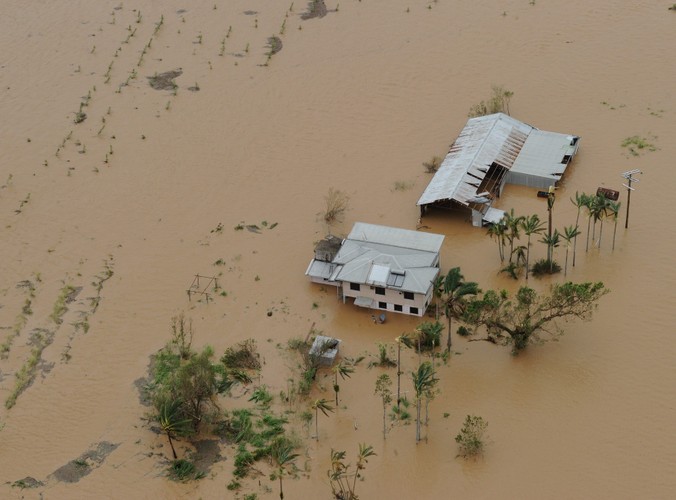 Inna zniszczona plantacja w pobliżu Innisfail