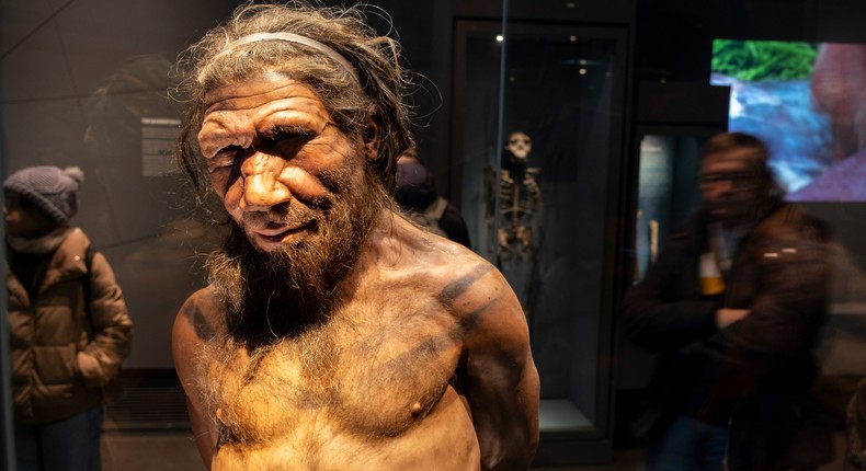 Neanderthals went extinct 40,000 years ago, and researchers are continuing to find clues about why.Mike Kemp/Getty Images