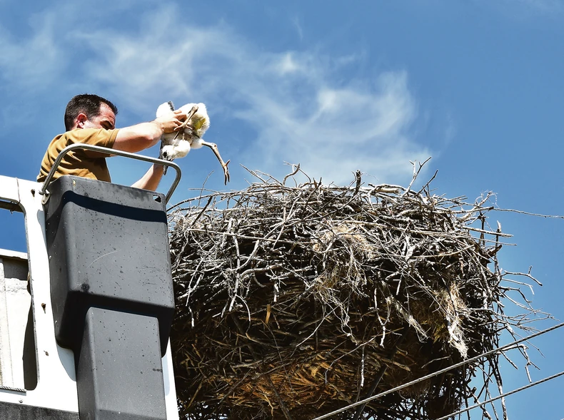 Taraš još 2015. proglašen za Evropsko selo roda, pobedivši konkurenciju iz 12 naselja iz evrope