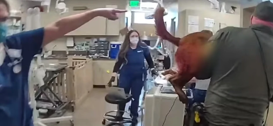 Hitno je doveden na lečenje