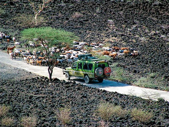 Galeria Kenia - Turkana, nefrytowe morze Afryki, obrazek 8