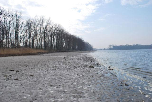 Galeria Polska - katastrofalna przyducha na jeziorze Słupeckim, obrazek 18