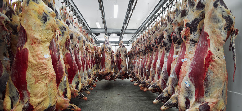 List do premiera od producentów mięsa. Chodzi o rosyjskie embargo