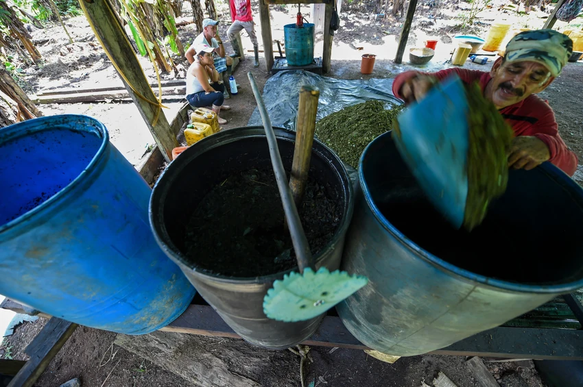 Proizvodnja kokaina u Kolumbiji: Od lista koke do belog praha 
