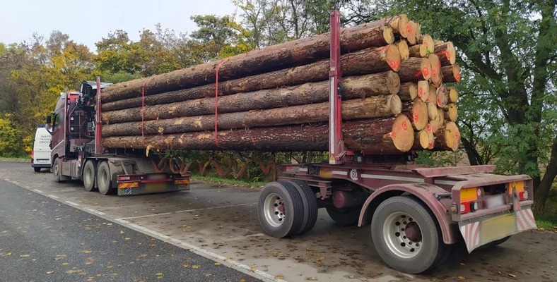 Zbyt ciężki transport drewna