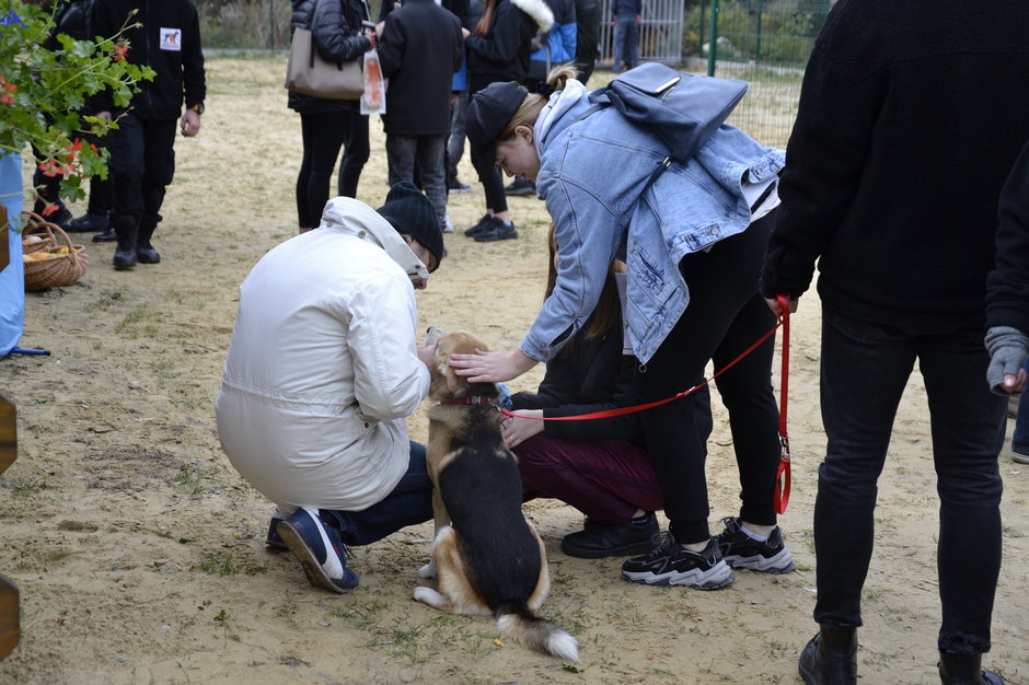 Piknik rodzinny „Spacerem rodzinnie lub biegiem po adopcję"