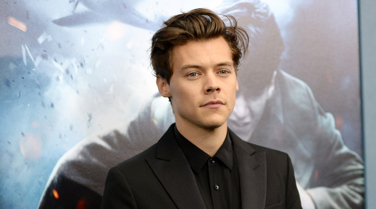 Harry Styles a szép nők rajongója /Fotó: NORTHFOTO