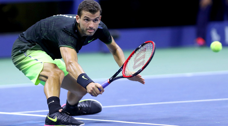 Dimitrov zseniálisan szervált... /Fotó: AFP