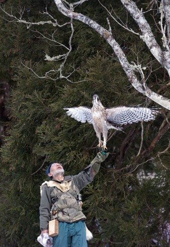 Hidetoshi Matsubara. Ostatni sokolnik w Japonii