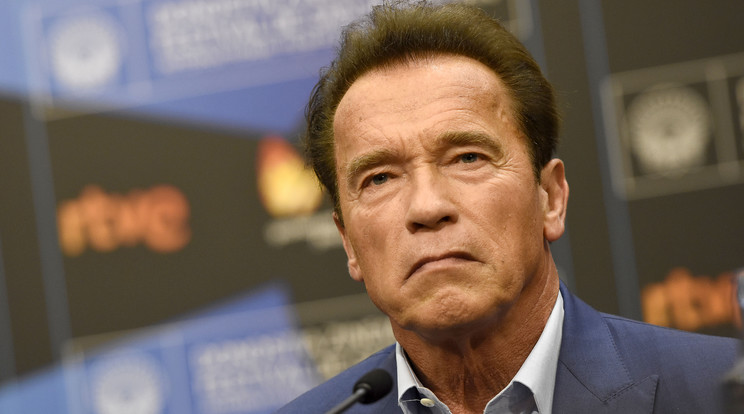 Arnold Schwarzenegger/Fotó:Northfoto