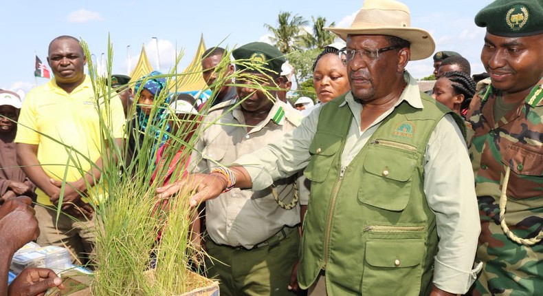 Environment CS Keriako Tobiko during a past tree-planting exercise. 