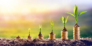 Jakie składki od pracodawcy, która instytucja finansowa może prowadzić konto, czyli PPK od 1 lipca